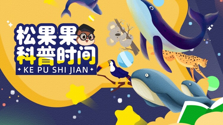 错把鸡毛当令箭