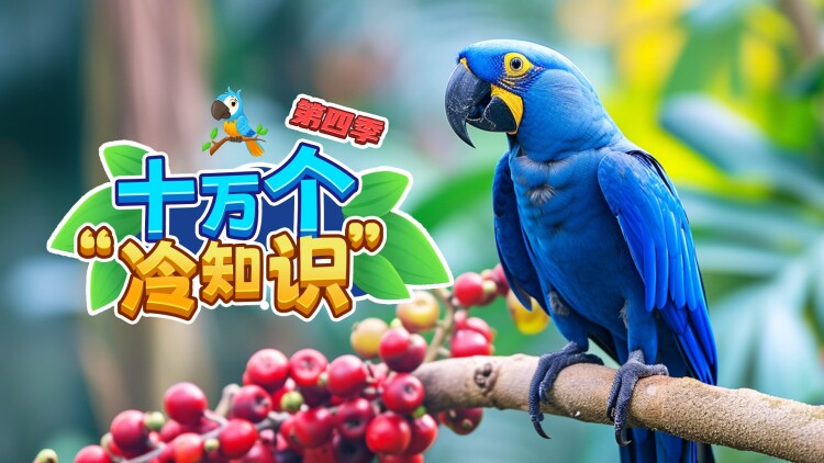 离婚带娃被四帅总裁宠上天——生活磨合
