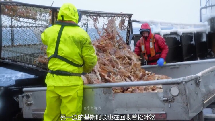 生如逆旅·情感的挣扎与救赎
