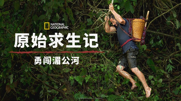 招财进宝小小福星闯进门