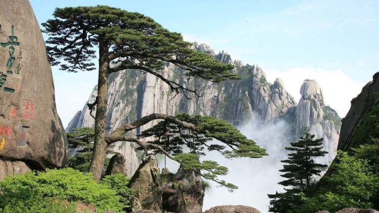 《加勒逼海盗3》概述：一款备受期待的游戏