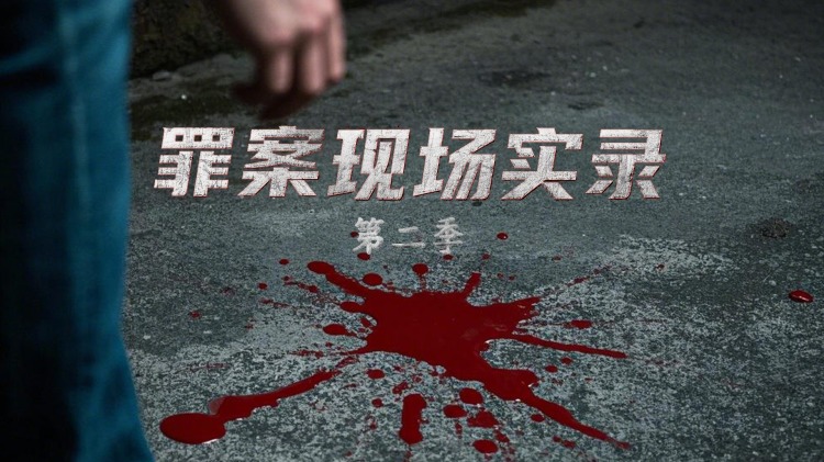 足球女将（综艺）