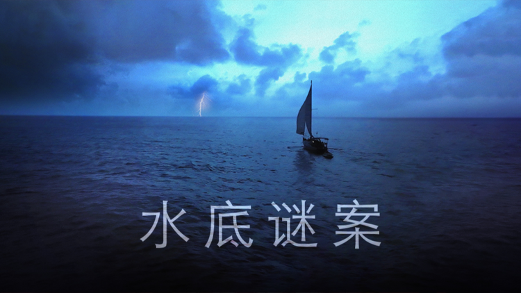 夕阳玫瑰