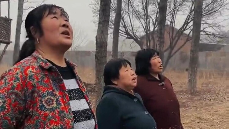 种地吧少爷