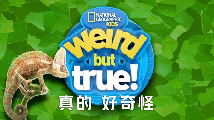 从零开始