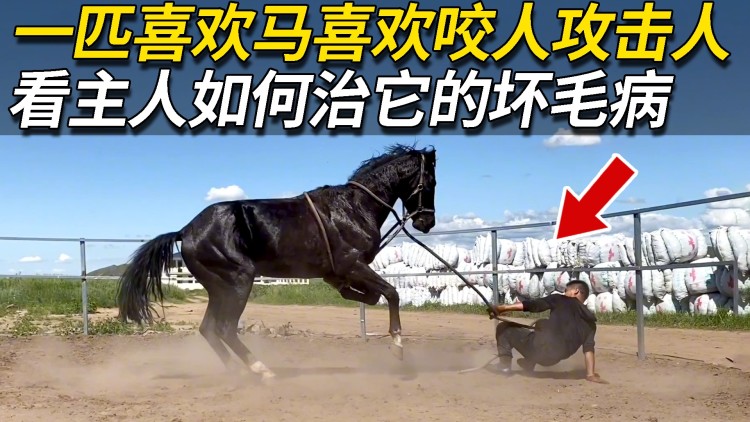 别对我动心短剧版