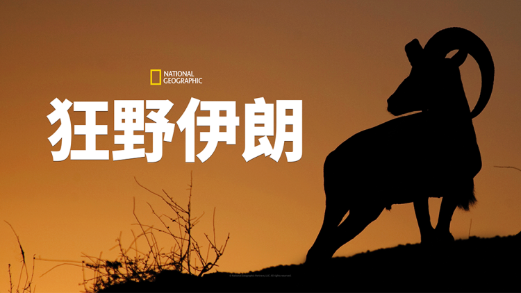 长相思之被遗忘的爱