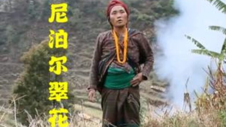 虐文女主觉醒了