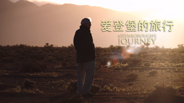 《唯我独尊》_免费在线观看