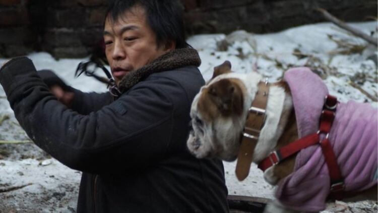 我仍然相信