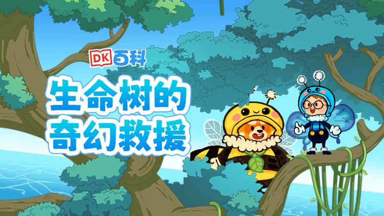 揽雀
