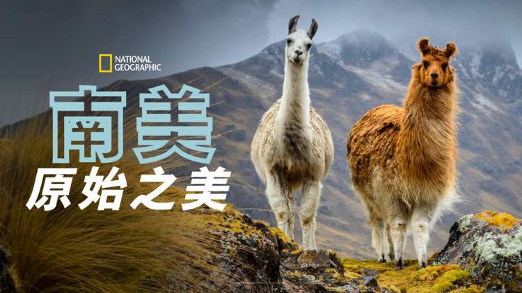 无法言说的爱2024