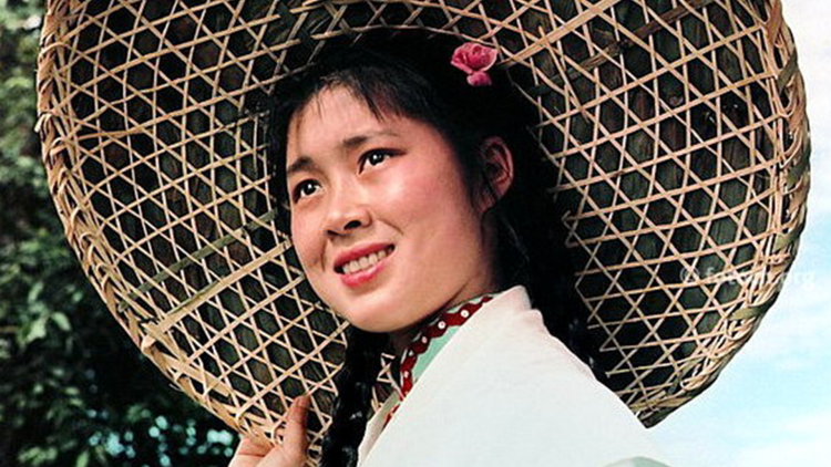 我的梦中情人