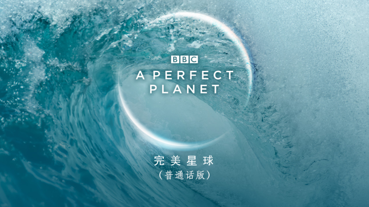 晚棠初谢