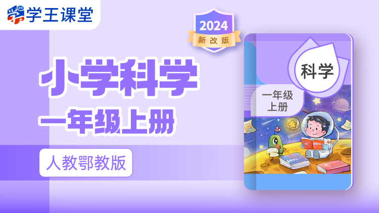 闪婚妻子是富婆