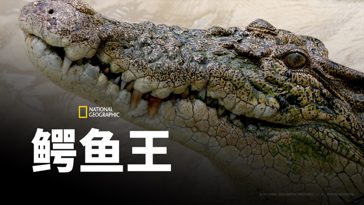 第一站：<strong>杭州西溪湿地蹦极</strong>