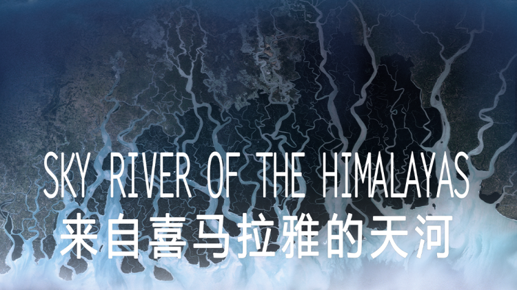 美丽密令