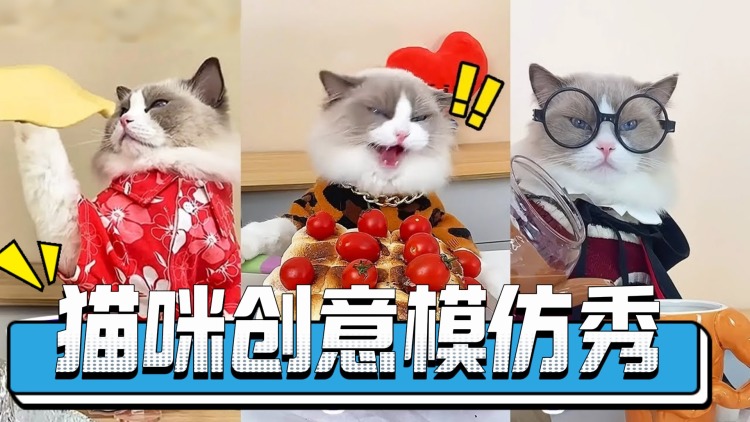 网站的设计与内容创建
