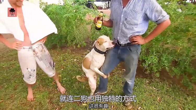 弃他如风