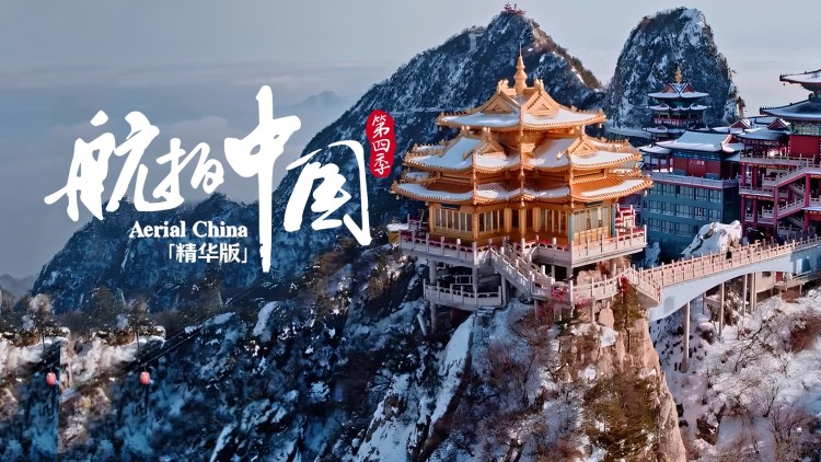 回到七零当团宠