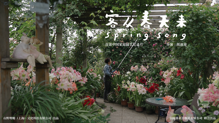 幸运甜妻陆总跪地宠