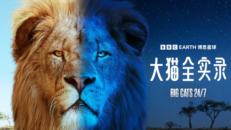 揉青时节故人归的重逢情感