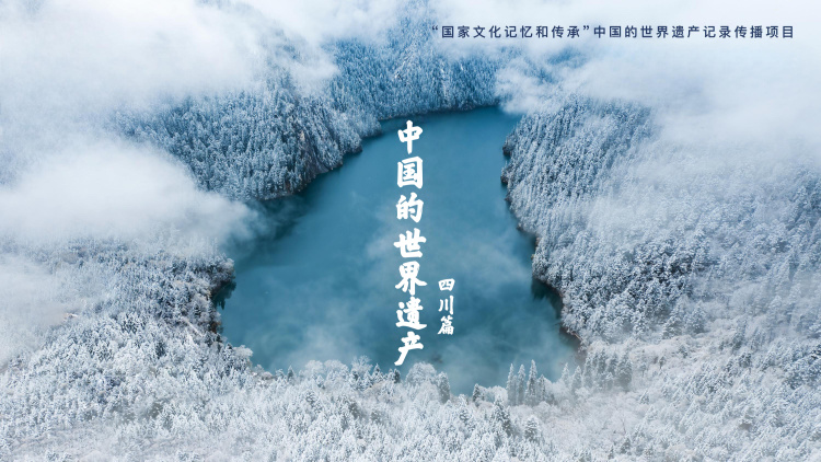 《离婚当夜怀了二十岁帅哥孩子》_免费在线观看