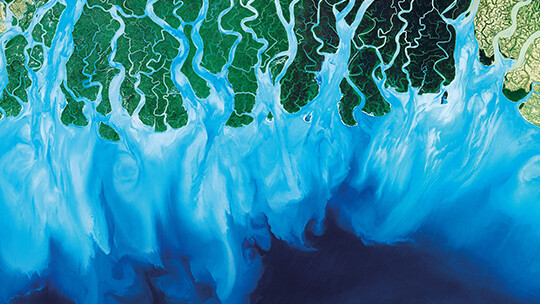 不对劲的孩子