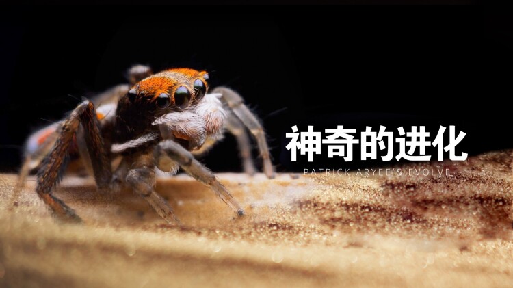 我真不是首富继承人