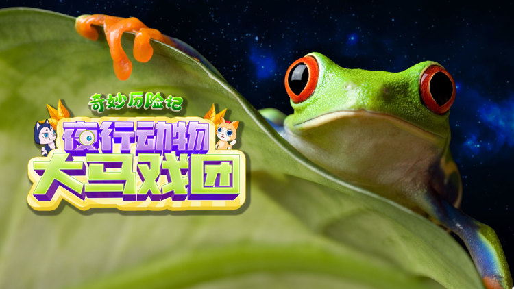天后小助理