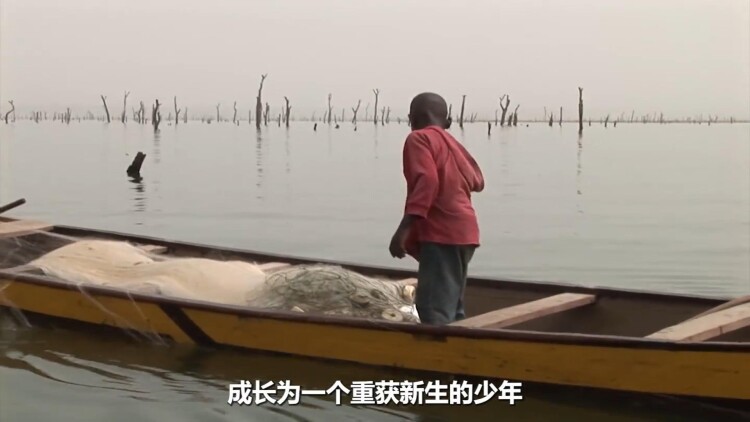 老板大人是老公的情感升温