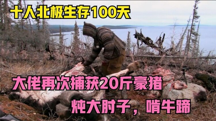 霍家拳之铁臂娇娃