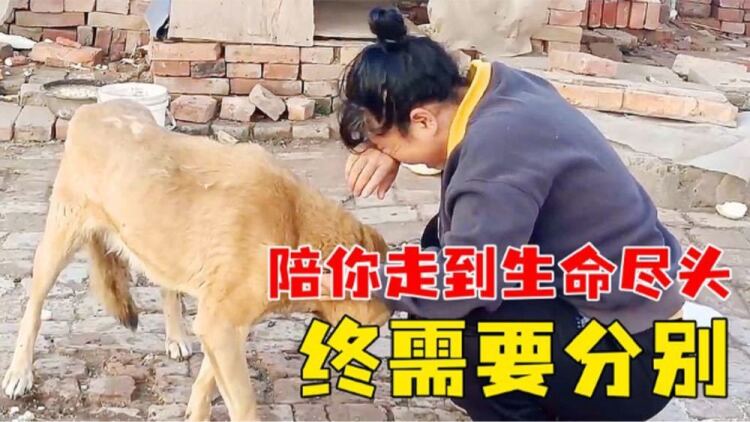 作茧自缚
