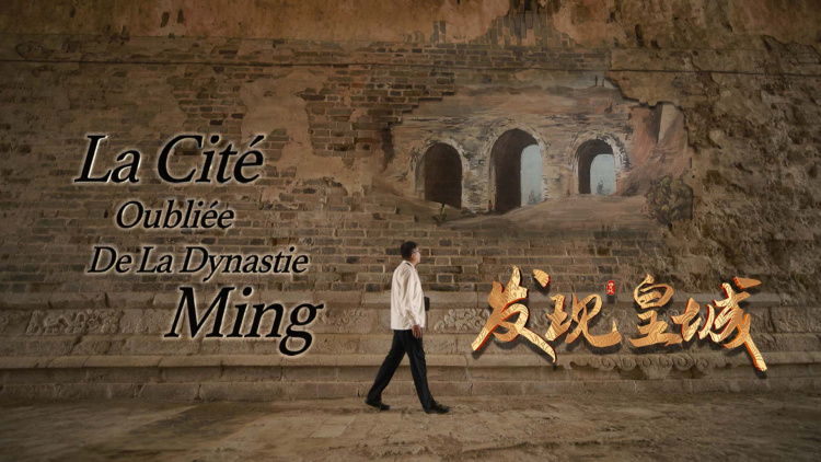 《神医倾城王妃要休夫》的冲突：王府纷争与权谋考验