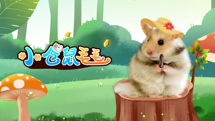 《奇情谷》的复杂人物关系