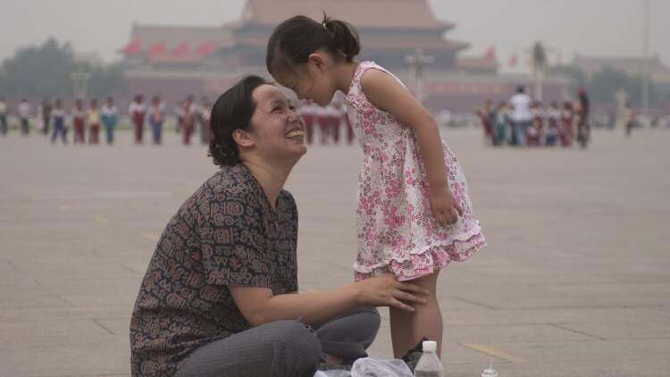 发光仿真花是什么？不只是装饰那么简单！
