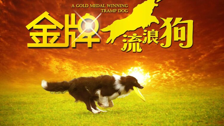 阳光姐妹淘
