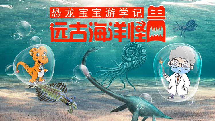 超级少女第六季