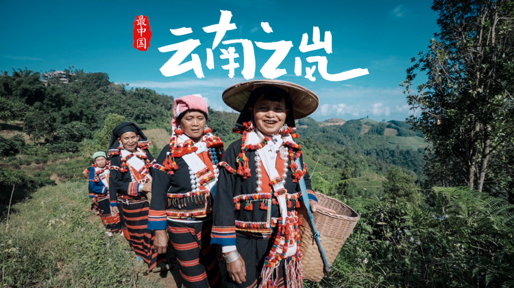 解决乱码问题：用户可以采取的措施
