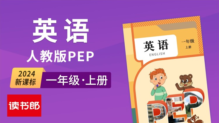 我的猫系男友——携手面对生活挑战
