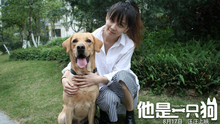 巧虎魔法岛历险记