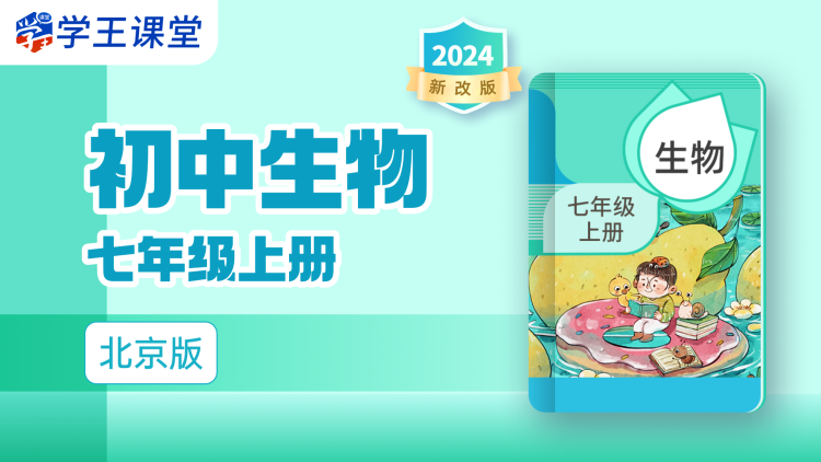 《红楼梦》后四十回的神秘消失