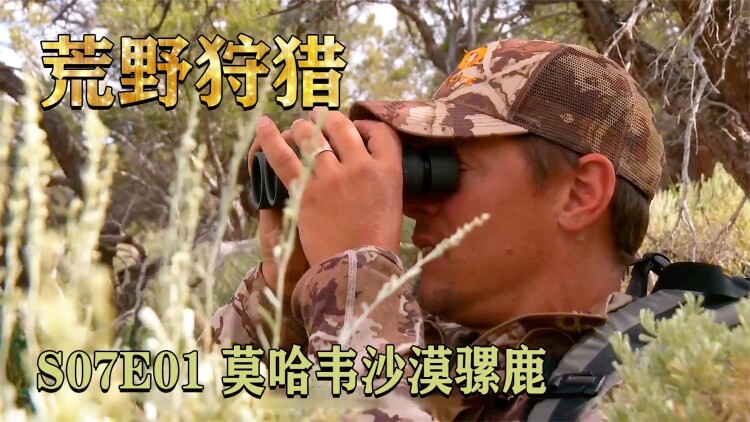 穿书后我骄养了反派摄政王