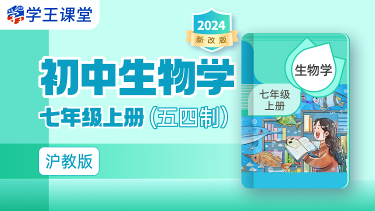 龙城谜案