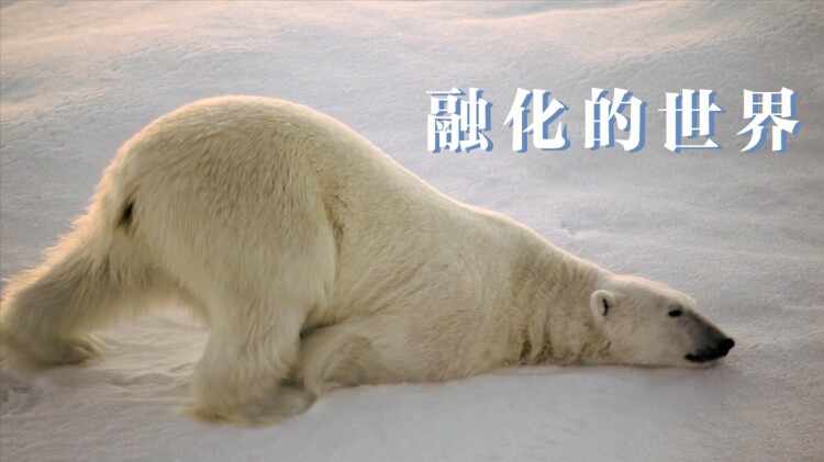 再婚伴侣老来福——意外的考验与坚持
