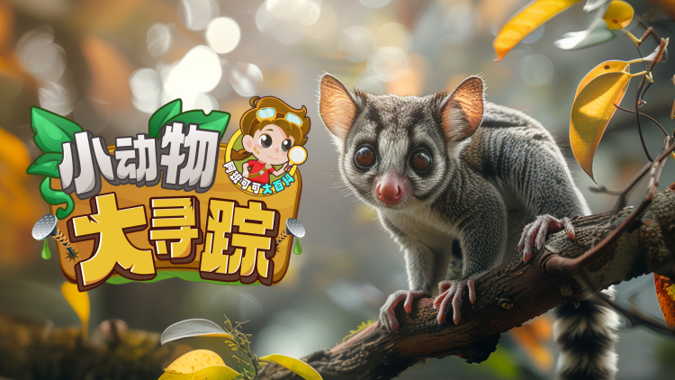 时光音乐会第四季