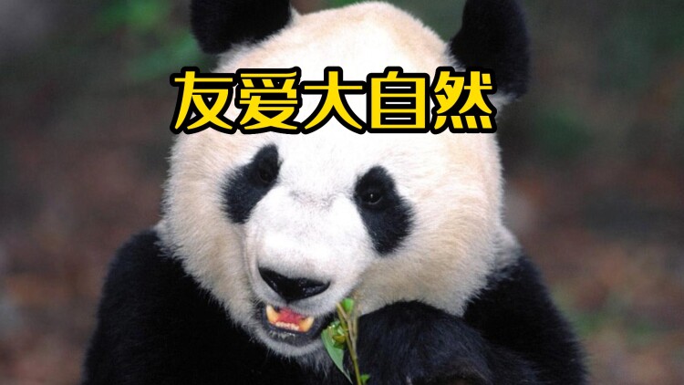 奈何公主不好惹