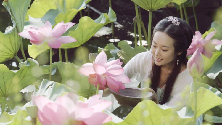 如何选择合适的会员套餐：单月还是年卡？