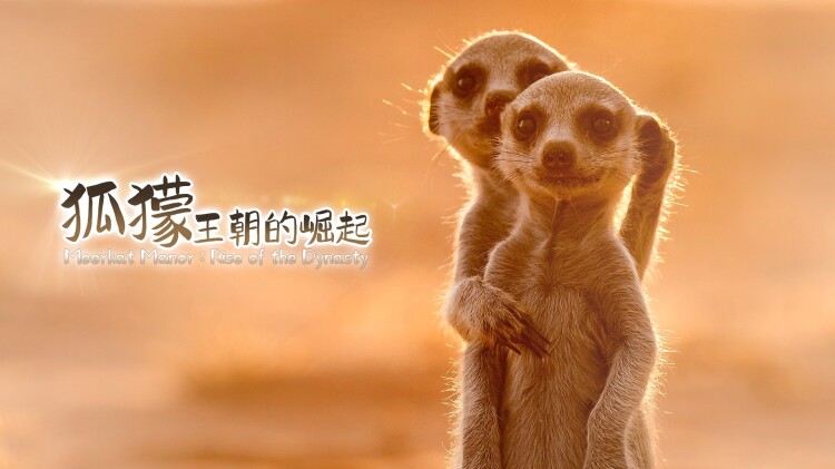 小生意的破局传奇