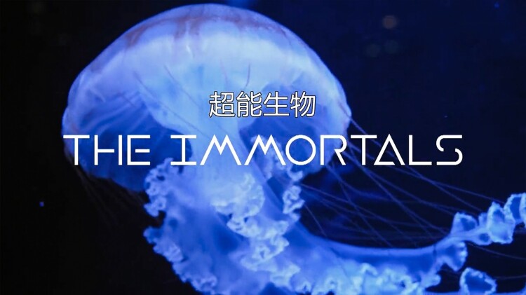 自坠深渊